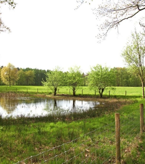 Wandelroute wehlse bos fietsroute byvoorde jagershuis wehl fietsknoop